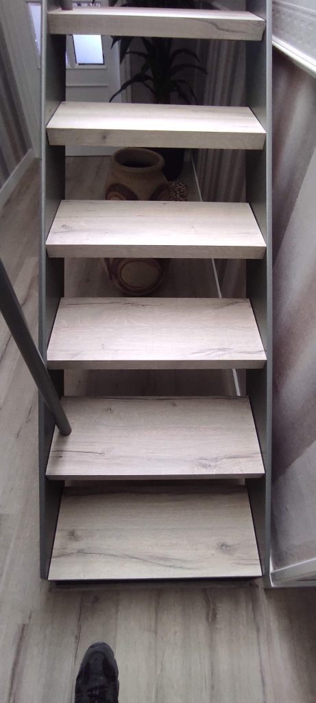 DLR Fusteria 08 080 8