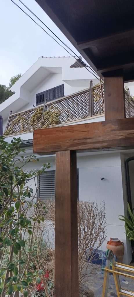 DLR Fusteria 1212131